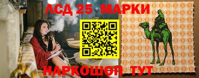 гидропоника Моздок