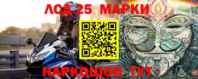гидропоника Моздок