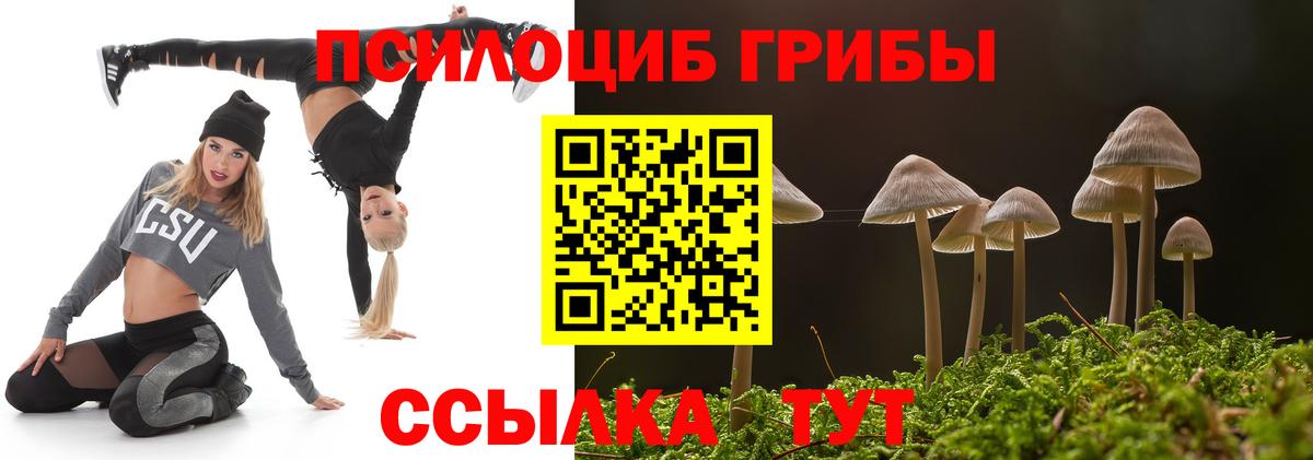 Галлюциногенные грибы Psilocybine cubensis Россия
