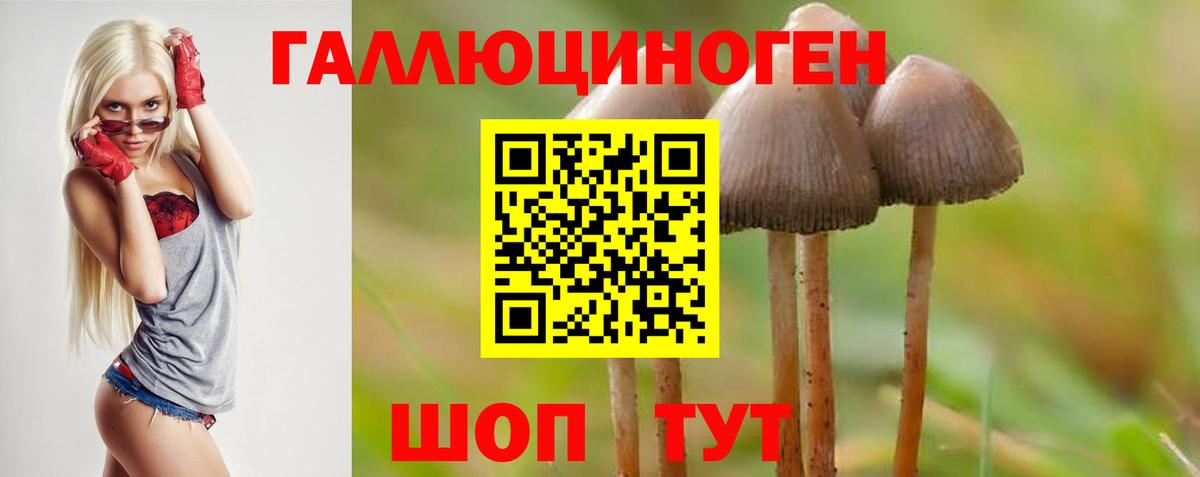Россия  Галлюциногенные грибы Psilocybe  Вход с VPN 